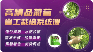 高精品通俗 省工莳植系统课）