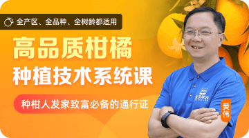 高品质柑橘莳植手艺系统课