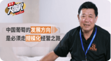 中国通俗的生长偏向 是必需走规模；；；；；；被