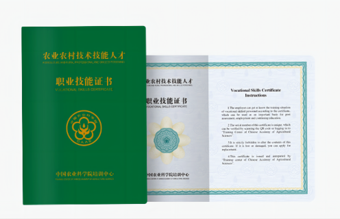 农业农村手艺手艺人才职业手艺证书