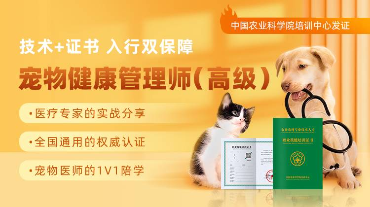 宠物康健治理师(高级)