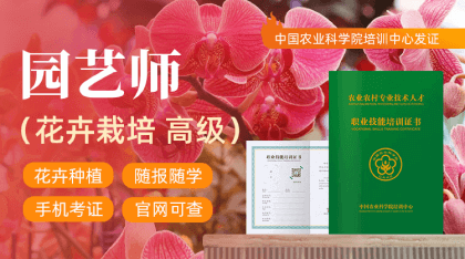 园艺师(花卉莳植高级)