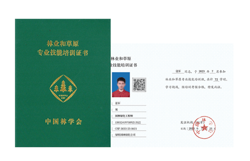 林业和草原专业手艺证书