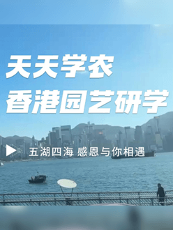与香港园艺学会团结举行香港园艺研学，，，，，专业园境师带队解说。。。。。。