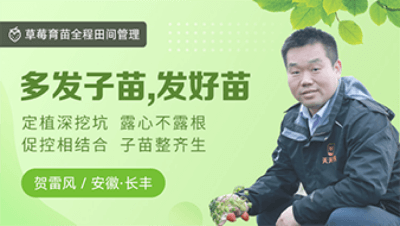 多发子苗，，，，，发好苗