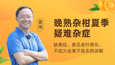 晚熟杂柑夏日疑难杂症