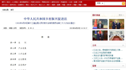 墟落振兴服务